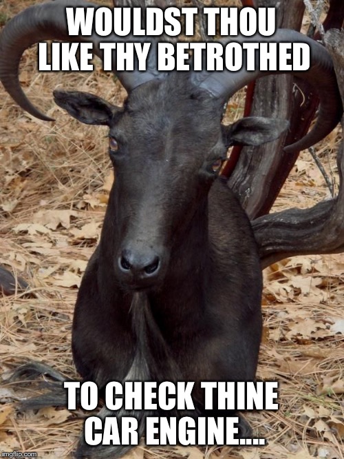 Black philip | WOULDST THOU LIKE THY BETROTHED; TO CHECK THINE CAR ENGINE.... | image tagged in black philip | made w/ Imgflip meme maker