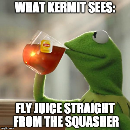 But That's None Of My Business Meme | WHAT KERMIT SEES:; FLY JUICE STRAIGHT FROM THE SQUASHER | image tagged in memes,but thats none of my business,kermit the frog | made w/ Imgflip meme maker
