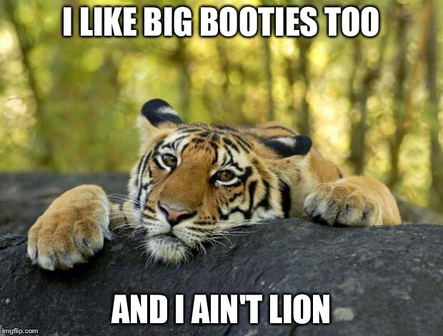 I LIKE BIG BOOTIES TOO AND I AIN'T LION | made w/ Imgflip meme maker
