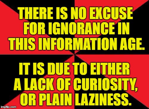 Empty Red And Black Meme | THERE IS NO EXCUSE FOR IGNORANCE IN THIS INFORMATION AGE. IT IS DUE TO EITHER A LACK OF CURIOSITY, OR PLAIN LAZINESS. | image tagged in memes,empty red and black | made w/ Imgflip meme maker