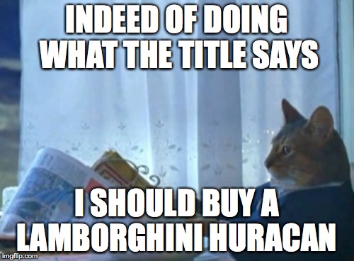 I Should Buy A Boat Cat Meme - Imgflip