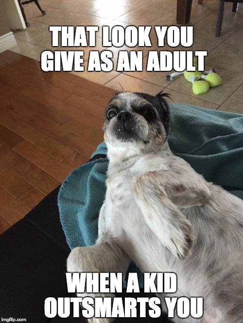 THAT LOOK YOU GIVE AS AN ADULT; WHEN A KID OUTSMARTS YOU | image tagged in funny,memes,dog,surprised,shocked | made w/ Imgflip meme maker