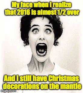 There is still a big wreath in front of the fireplace. | My face when I realize that 2016 is almost 1/2 over; And I still have Christmas decorations on the mantle | image tagged in christmas decorations,2016 | made w/ Imgflip meme maker