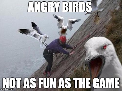 Angry Birds | ANGRY BIRDS; NOT AS FUN AS THE GAME | image tagged in angry birds | made w/ Imgflip meme maker