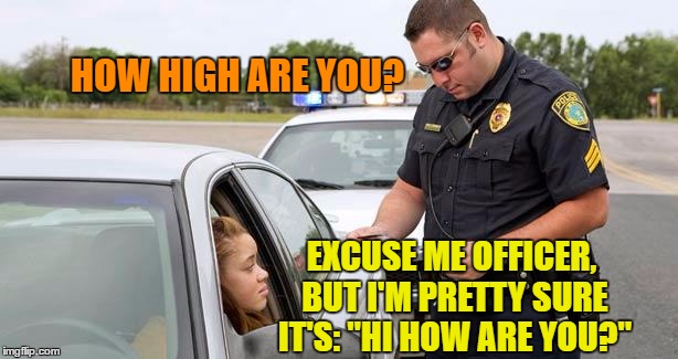 Best Possible Answer | HOW HIGH ARE YOU? EXCUSE ME OFFICER, BUT I'M PRETTY SURE IT'S: "HI HOW ARE YOU?" | image tagged in police | made w/ Imgflip meme maker