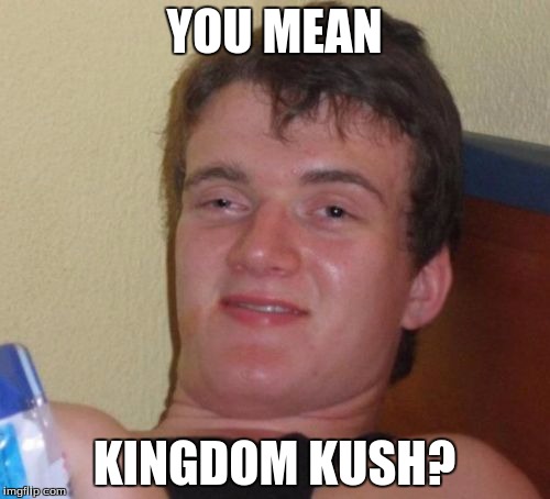 10 Guy Meme | YOU MEAN KINGDOM KUSH? | image tagged in memes,10 guy | made w/ Imgflip meme maker