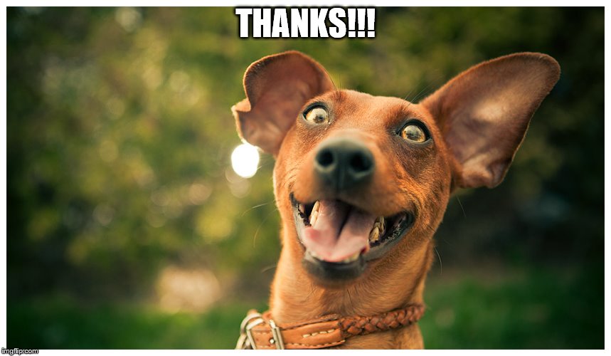 crazy mutt | THANKS!!! | image tagged in crazy mutt | made w/ Imgflip meme maker