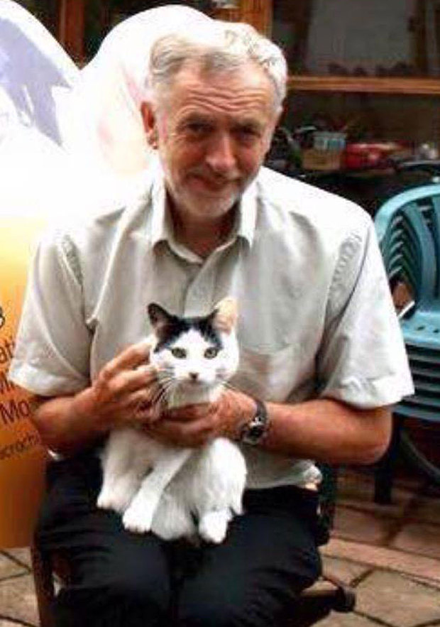Corbyn Cats Blank Meme Template