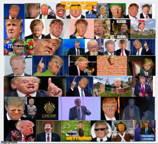 THIS IS WHAT THE INTERNET HAS DONE TO TRUMP... AND IT'S GLORIOUS | made w/ Imgflip meme maker