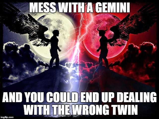 Gemini | MESS WITH A GEMINI; AND YOU COULD END UP DEALING WITH THE WRONG TWIN | image tagged in twins | made w/ Imgflip meme maker