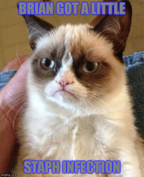 Grumpy Cat Meme | BRIAN GOT A LITTLE STAPH INFECTION | image tagged in memes,grumpy cat | made w/ Imgflip meme maker