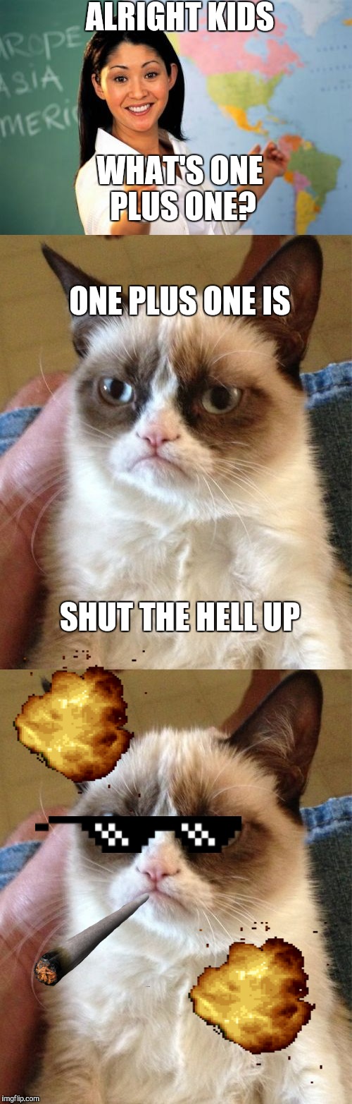 Buuuuuurn | ALRIGHT KIDS; WHAT'S ONE PLUS ONE? ONE PLUS ONE IS; SHUT THE HELL UP | image tagged in grumpy cat | made w/ Imgflip meme maker