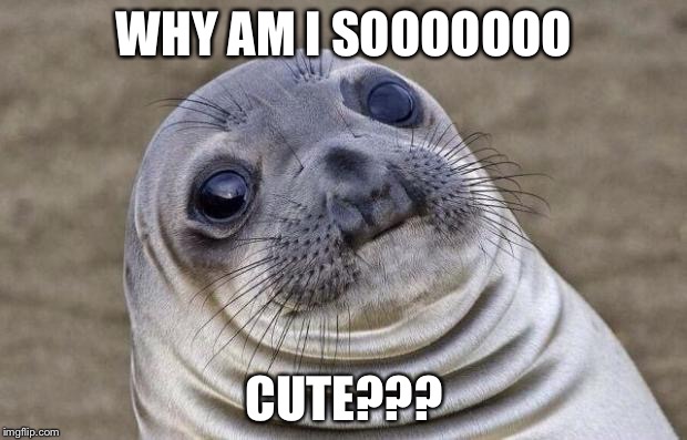 Awkward Moment Sealion | WHY AM I SOOOOOOO; CUTE??? | image tagged in memes,awkward moment sealion | made w/ Imgflip meme maker