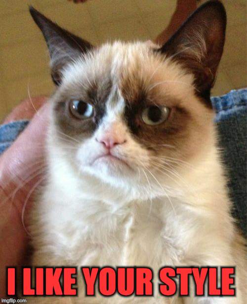 Grumpy Cat Meme | I LIKE YOUR STYLE | image tagged in memes,grumpy cat | made w/ Imgflip meme maker
