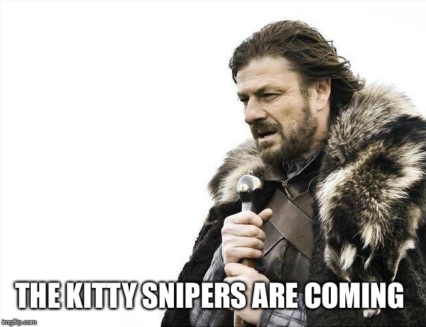 Brace Yourselves X is Coming Meme | THE KITTY SNIPERS ARE COMING | image tagged in memes,brace yourselves x is coming | made w/ Imgflip meme maker