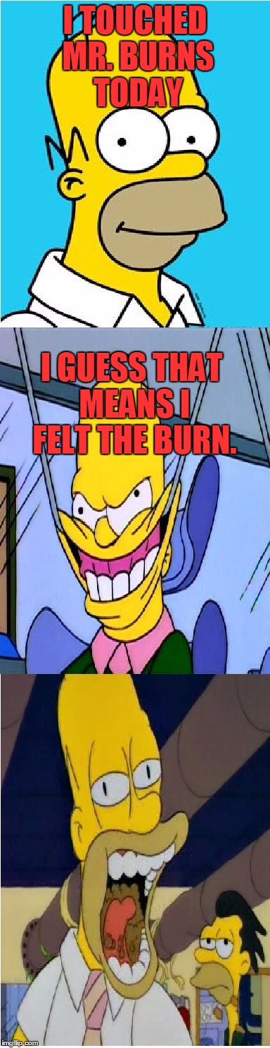 Bad Pun Homer Simpson | I TOUCHED MR. BURNS TODAY; I GUESS THAT MEANS I FELT THE BURN. | image tagged in bad pun homer simpson,memes,bad pun,feel the bern,bernie sanders,the simpsons | made w/ Imgflip meme maker