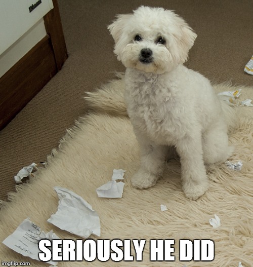 SERIOUSLY HE DID | made w/ Imgflip meme maker