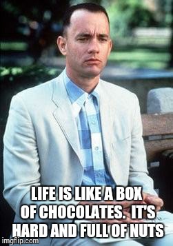 Forest gump | LIFE IS LIKE A BOX OF CHOCOLATES. 
IT'S HARD AND FULL OF NUTS | image tagged in forest gump | made w/ Imgflip meme maker