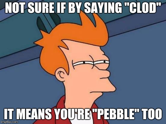 Futurama Fry Meme | NOT SURE IF BY SAYING "CLOD" IT MEANS YOU'RE "PEBBLE" TOO | image tagged in memes,futurama fry | made w/ Imgflip meme maker