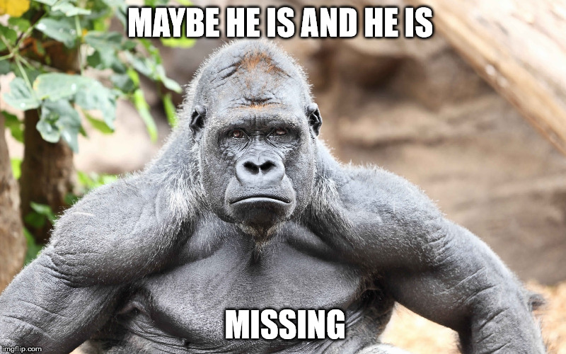 MAYBE HE IS AND HE IS MISSING | made w/ Imgflip meme maker