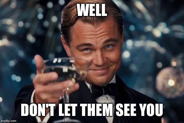 Leonardo Dicaprio Cheers Meme | WELL DON'T LET THEM SEE YOU | image tagged in memes,leonardo dicaprio cheers | made w/ Imgflip meme maker
