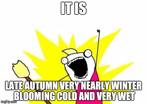X All The Y Meme | IT IS LATE AUTUMN VERY NEARLY WINTER BLOOMING COLD AND VERY WET | image tagged in memes,x all the y | made w/ Imgflip meme maker