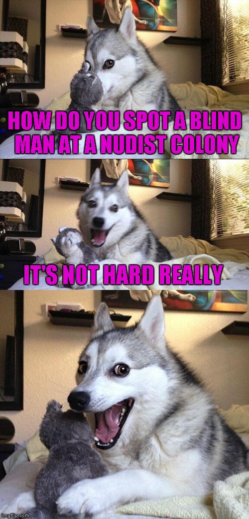 Bad Pun Dog | HOW DO YOU SPOT A BLIND MAN AT A NUDIST COLONY; IT'S NOT HARD REALLY | image tagged in memes,bad pun dog | made w/ Imgflip meme maker
