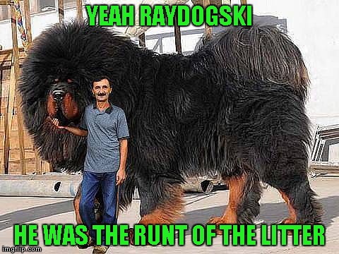 YEAH RAYDOGSKI HE WAS THE RUNT OF THE LITTER | made w/ Imgflip meme maker