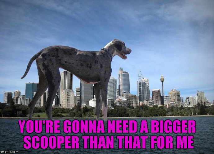 YOU'RE GONNA NEED A BIGGER SCOOPER THAN THAT FOR ME | made w/ Imgflip meme maker
