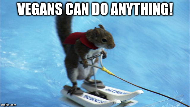 waterski squirrel | VEGANS CAN DO ANYTHING! | image tagged in waterski squirrel | made w/ Imgflip meme maker