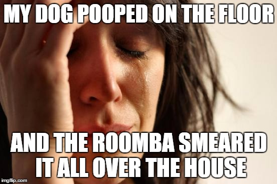 True story | MY DOG POOPED ON THE FLOOR; AND THE ROOMBA SMEARED IT ALL OVER THE HOUSE | image tagged in memes,first world problems,dogs,funny,poop | made w/ Imgflip meme maker