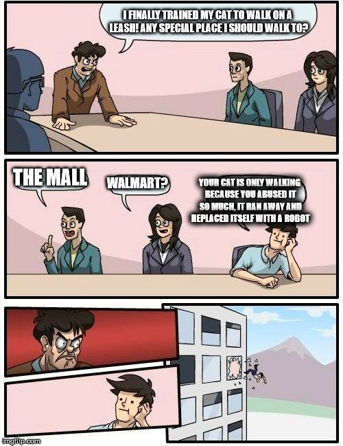 Boardroom Meeting Suggestion | I FINALLY TRAINED MY CAT TO WALK ON A LEASH! ANY SPECIAL PLACE I SHOULD WALK TO? THE MALL; WALMART? YOUR CAT IS ONLY WALKING BECAUSE YOU ABUSED IT SO MUCH, IT RAN AWAY AND REPLACED ITSELF WITH A ROBOT | image tagged in memes,boardroom meeting suggestion | made w/ Imgflip meme maker