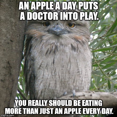 Wise Advice Potoo | AN APPLE A DAY PUTS A DOCTOR INTO PLAY. YOU REALLY SHOULD BE EATING MORE THAN JUST AN APPLE EVERY DAY. | image tagged in wise advice potoo | made w/ Imgflip meme maker