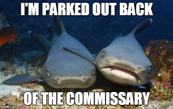 empathetic shark | I'M PARKED OUT BACK; OF THE COMMISSARY | image tagged in empathetic shark | made w/ Imgflip meme maker