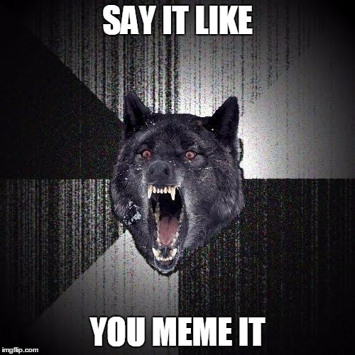 Insanity Wolf Meme | SAY IT LIKE; YOU MEME IT | image tagged in memes,insanity wolf | made w/ Imgflip meme maker