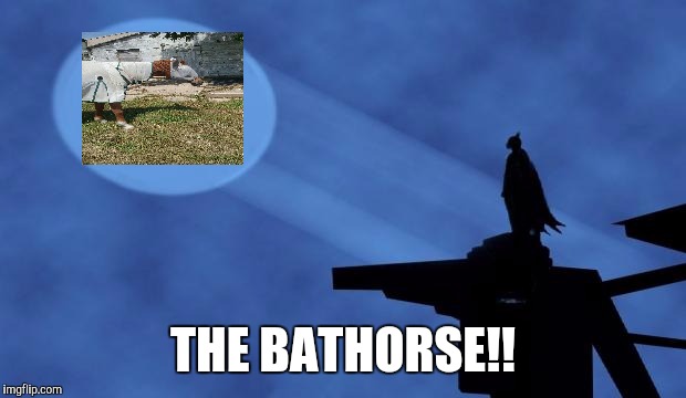 batman signal | THE BATHORSE!! | image tagged in batman signal | made w/ Imgflip meme maker