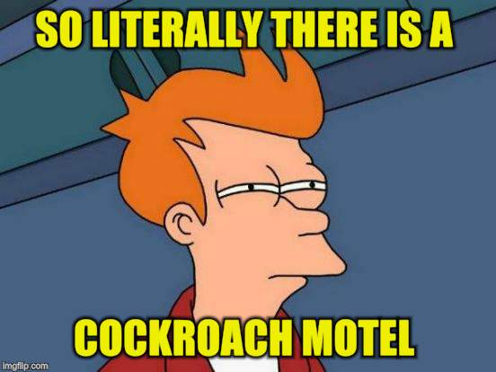 Futurama Fry Meme | SO LITERALLY THERE IS A COCKROACH MOTEL | image tagged in memes,futurama fry | made w/ Imgflip meme maker