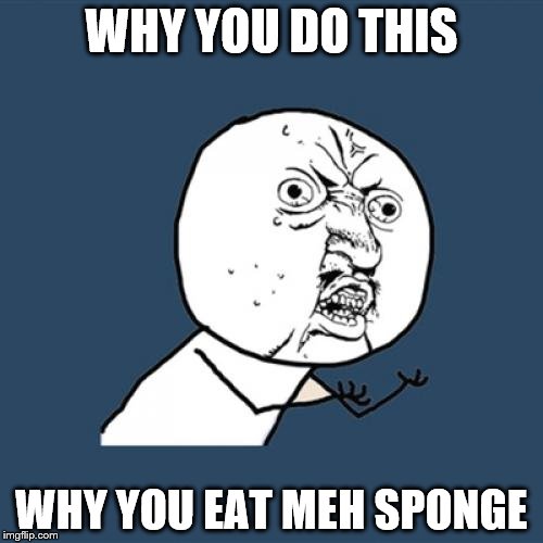 Y U No Meme |  WHY YOU DO THIS; WHY YOU EAT MEH SPONGE | image tagged in memes,y u no | made w/ Imgflip meme maker
