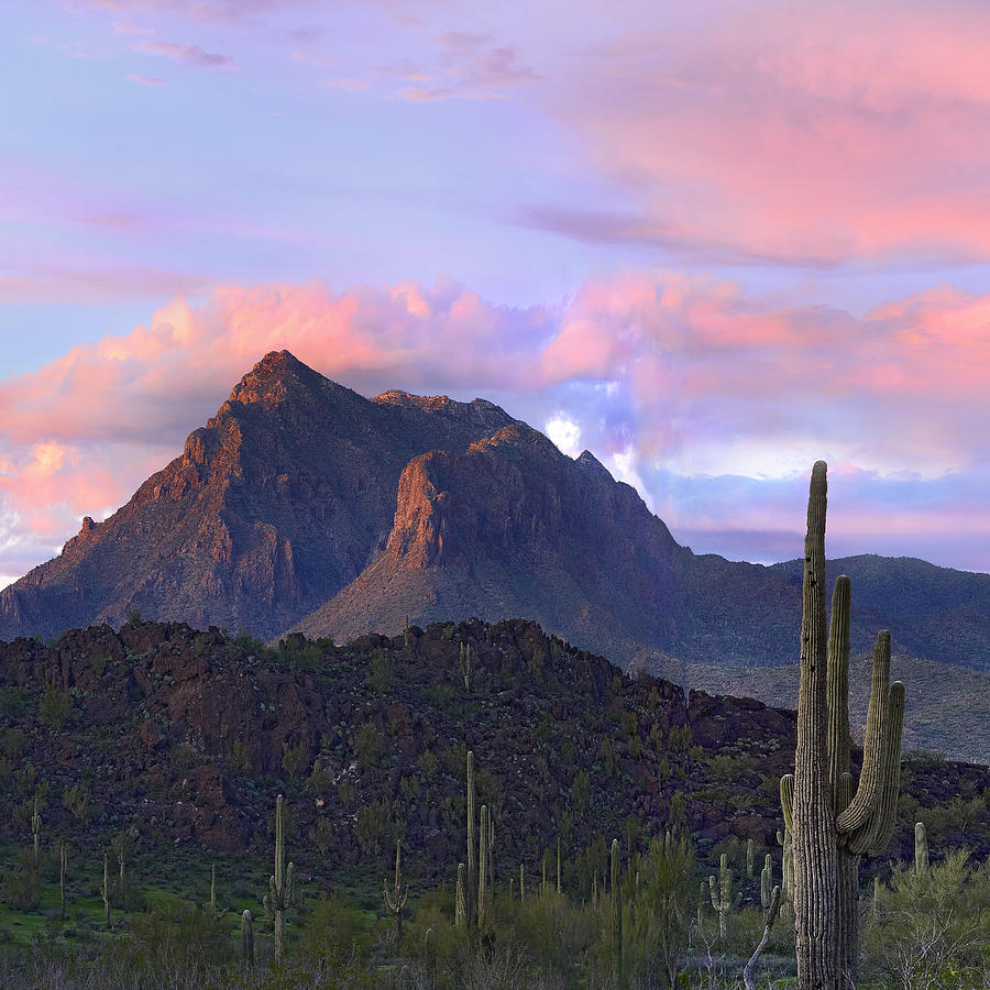 High Quality arizona mountian Blank Meme Template