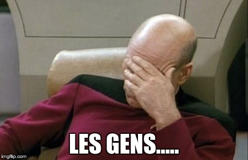 Captain Picard Facepalm Meme | LES GENS..... | image tagged in memes,captain picard facepalm | made w/ Imgflip meme maker