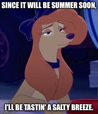 I'll Be Tastin' A Salty Breeze | SINCE IT WILL BE SUMMER SOON, I'LL BE TASTIN' A SALTY BREEZE. | image tagged in dixie sitting,memes,disney,the fox and the hound 2,reba mcentire,dog | made w/ Imgflip meme maker