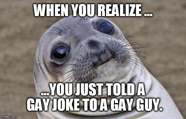 Awkward Moment Sealion Meme | WHEN YOU REALIZE ... ...YOU JUST TOLD A GAY JOKE TO A GAY GUY. | image tagged in memes,awkward moment sealion | made w/ Imgflip meme maker