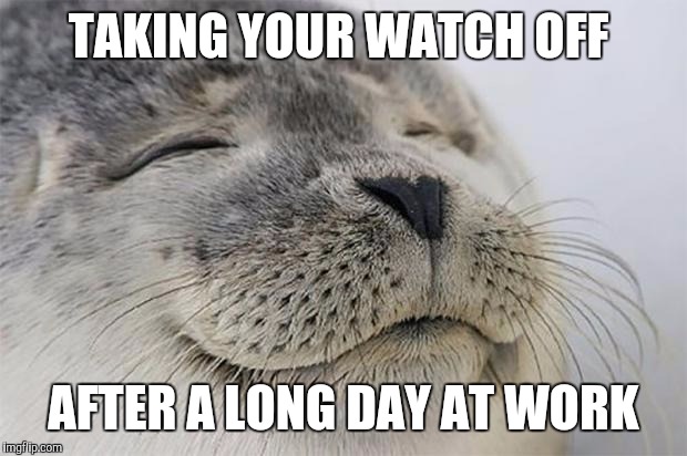 Satisfied Seal Meme | TAKING YOUR WATCH OFF; AFTER A LONG DAY AT WORK | image tagged in memes,satisfied seal | made w/ Imgflip meme maker