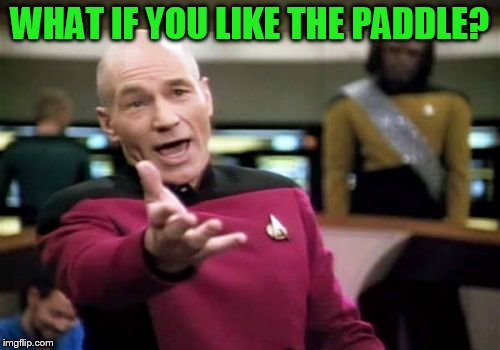 Picard Wtf Meme | WHAT IF YOU LIKE THE PADDLE? | image tagged in memes,picard wtf | made w/ Imgflip meme maker