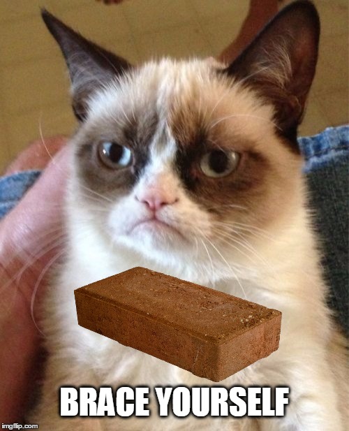 Brace yourself. | BRACE YOURSELF | image tagged in brace yourselves x is coming,grumpy cat,grumpy cat brick,brace yourself,brick,stanley kubrick | made w/ Imgflip meme maker