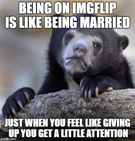 Confession Bear | BEING ON IMGFLIP IS LIKE BEING MARRIED; JUST WHEN YOU FEEL LIKE GIVING UP YOU GET A LITTLE ATTENTION | image tagged in memes,confession bear | made w/ Imgflip meme maker