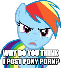 Angry Rainbow Dash | WHY DO YOU THINK I POST PONY PORN? | image tagged in angry rainbow dash | made w/ Imgflip meme maker