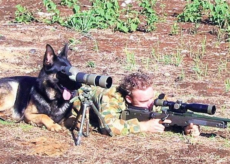 Dog spotter on sniper team Blank Meme Template