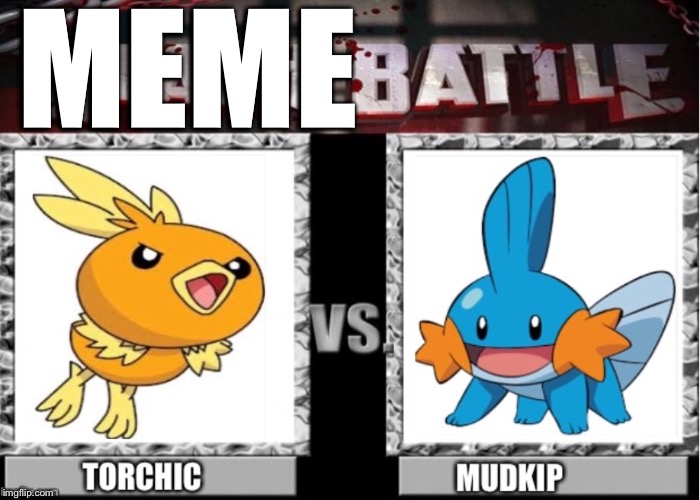 Torchic vs Mudkip  | MEME | image tagged in torchic vs mudkip | made w/ Imgflip meme maker
