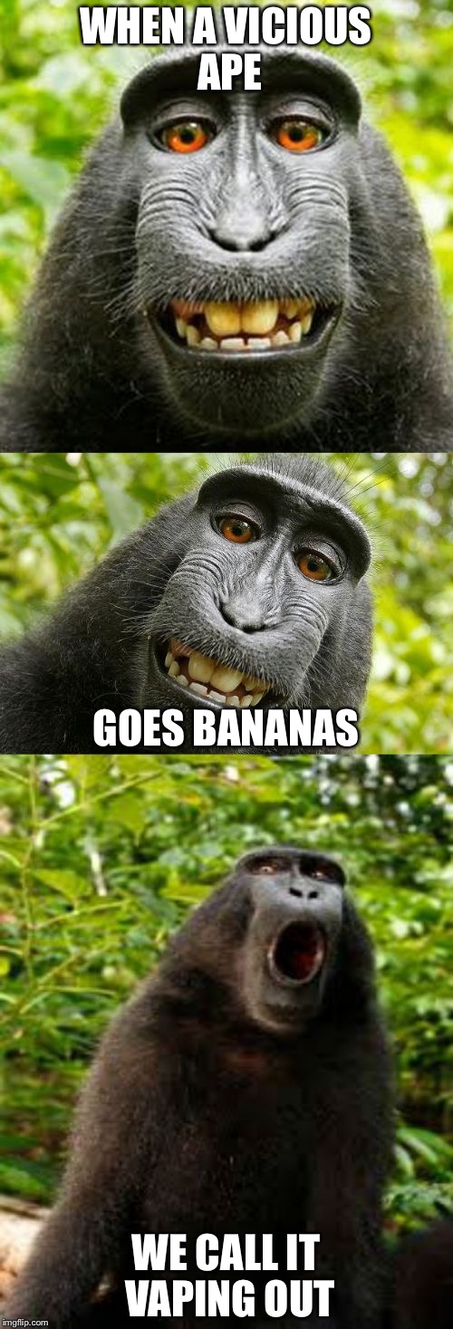 bad pun monkey |  WHEN A VICIOUS APE; GOES BANANAS; WE CALL IT VAPING OUT | image tagged in bad pun monkey | made w/ Imgflip meme maker